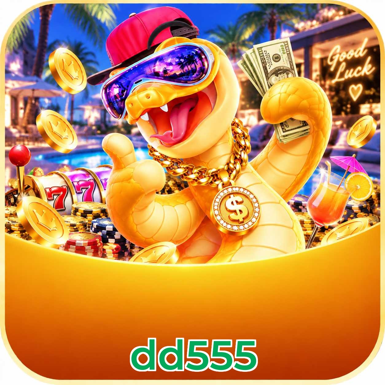 dd555