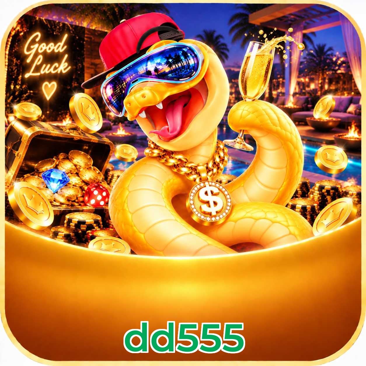 dd555